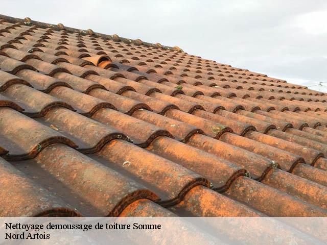 Nettoyage demoussage de toiture Somme 