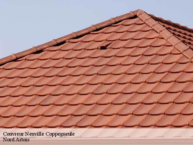 Couvreur  neuville-coppegueule-80430 Nord Artois