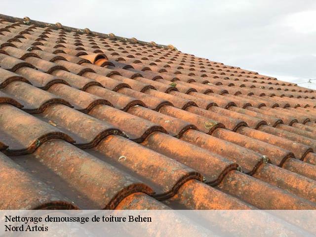 Nettoyage demoussage de toiture 80870