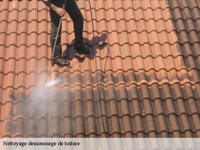 Nettoyage demoussage de toiture 80870
