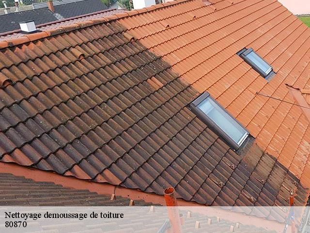 Nettoyage demoussage de toiture 80870