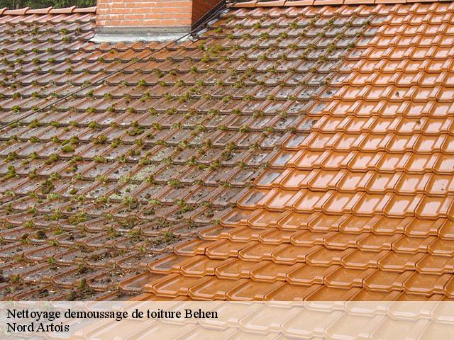 Nettoyage demoussage de toiture behen-80870 Nord Artois