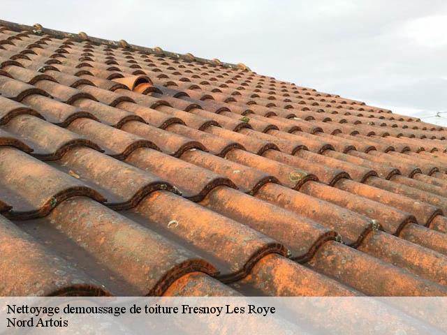 Nettoyage demoussage de toiture 80700