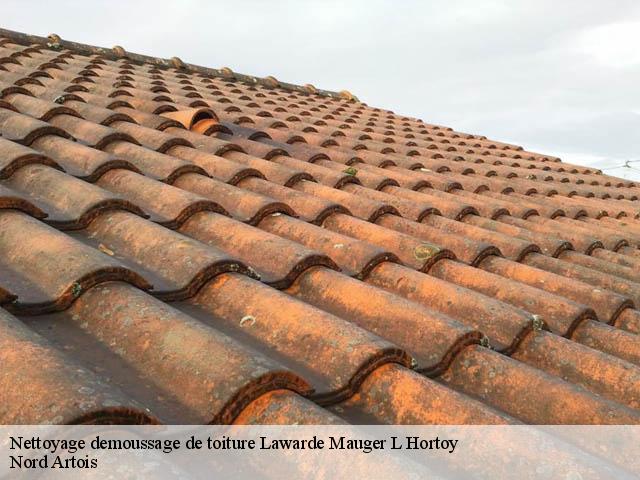 Nettoyage demoussage de toiture 80250