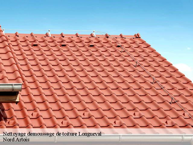 Nettoyage demoussage de toiture