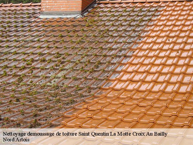 Nettoyage demoussage de toiture  saint-quentin-la-motte-croix-au-bailly-80880 Nord Artois