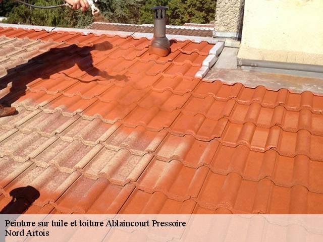 Peinture sur tuile et toiture  ablaincourt-pressoire-80320 Nord Artois