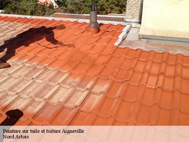 Peinture sur tuile et toiture  aigneville-80210 Nord Artois