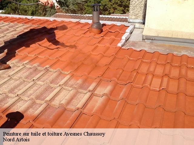 Peinture sur tuile et toiture  avesnes-chaussoy-80140 Nord Artois