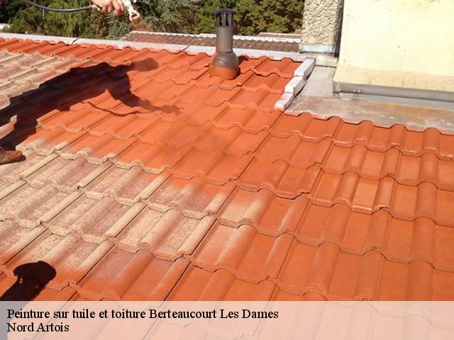 Peinture sur tuile et toiture  berteaucourt-les-dames-80850 Nord Artois