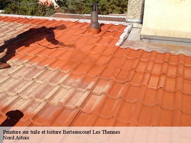 Peinture sur tuile et toiture  berteaucourt-les-thennes-80110 Nord Artois