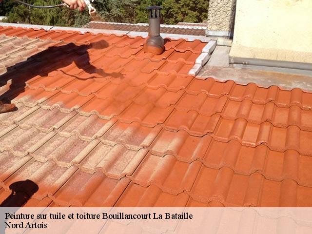 Peinture sur tuile et toiture  bouillancourt-la-bataille-80500 Nord Artois