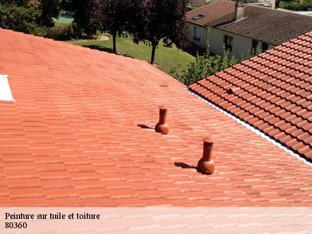 Peinture sur tuile et toiture 80360