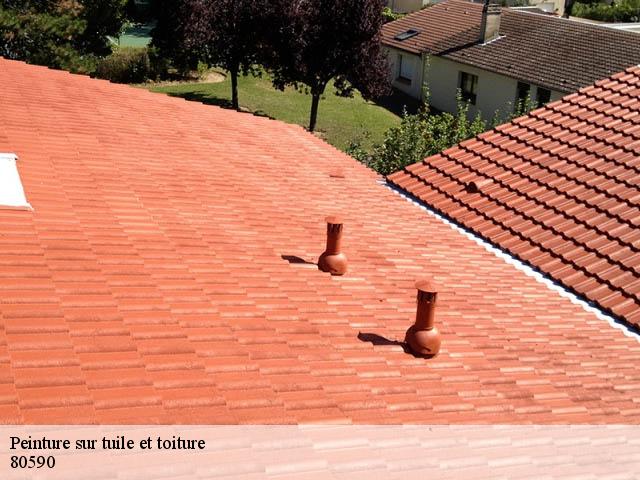 Peinture sur tuile et toiture 80590