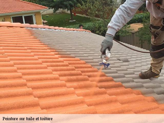 Peinture sur tuile et toiture 80590