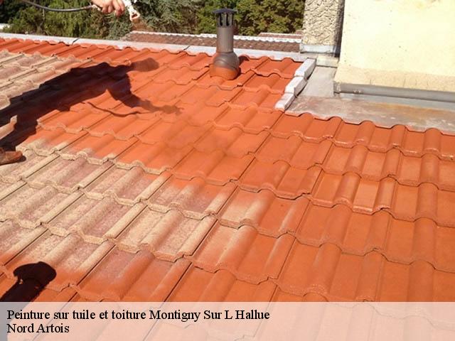 Peinture sur tuile et toiture montigny-sur-l-hallue-80260 Nord Artois