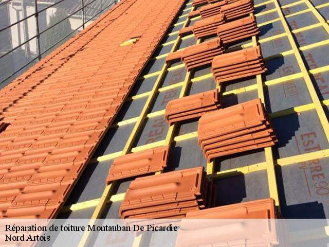 Réparation de toiture montauban-de-picardie-80300 Nord Artois