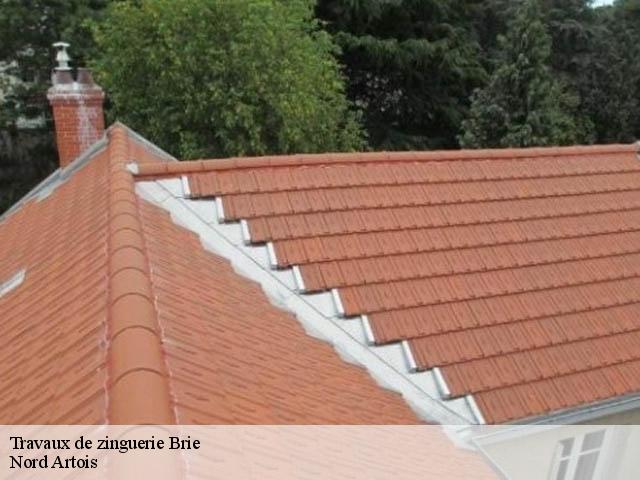 Travaux de zinguerie  brie-80200 Nord Artois