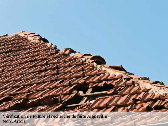 Vérification de toiture et recherche de fuite  aigneville-80210 Nord Artois