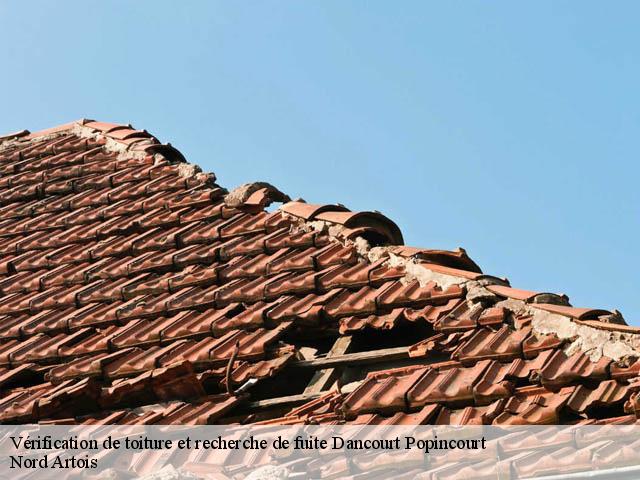 Vérification de toiture et recherche de fuite  dancourt-popincourt-80700 Nord Artois