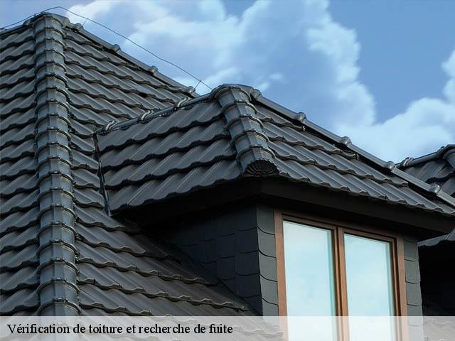 Vérification de toiture et recherche de fuite 80250