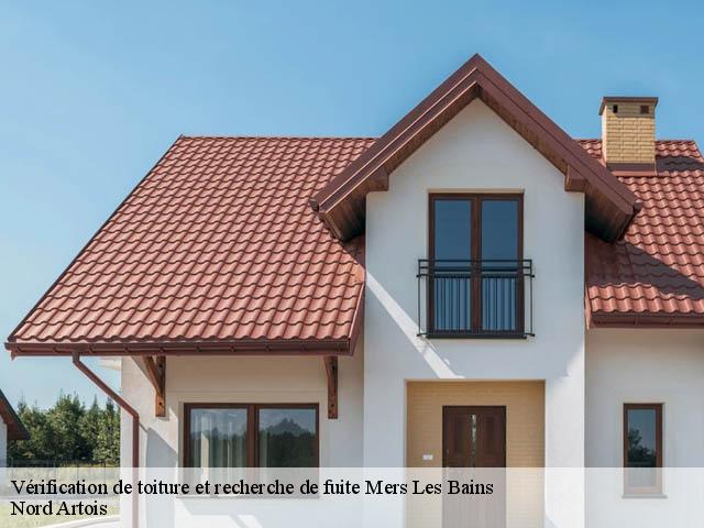 Vérification de toiture et recherche de fuite 80350