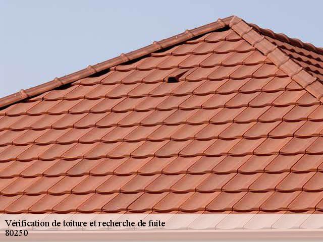 Vérification de toiture et recherche de fuite 80250