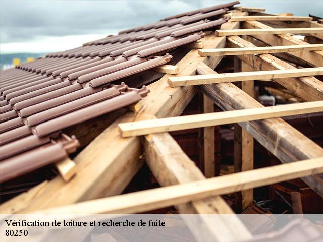 Vérification de toiture et recherche de fuite 80250